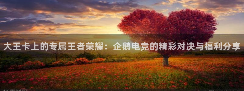 雷火电竞官网首页登录：大王卡上的专属王者荣耀：企鹅电竞的精彩对决与福利分享