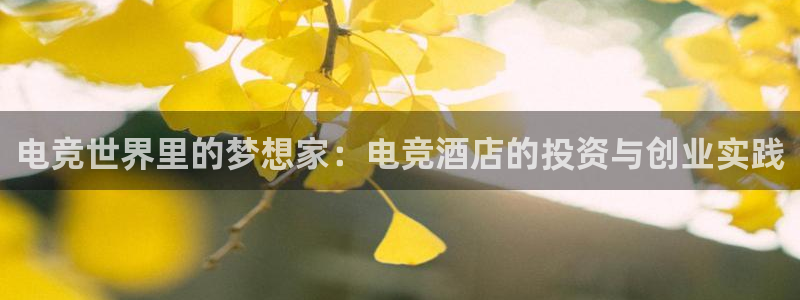 雷火电竞app下载：电竞世界里的梦想家：电竞酒店的投资与创业实践