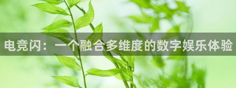 雷火电竞在线：电竞闪：一个融合多维度的数字娱乐体验