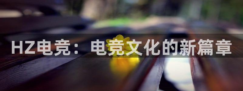 雷火电竞赏金赛赚钱版：HZ电竞：电竞文化的新篇章
