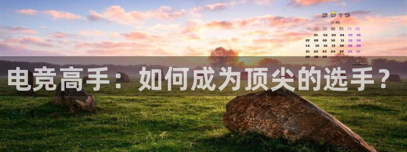 雷火电竞官网app：电竞高手：如何成为顶尖的选手？