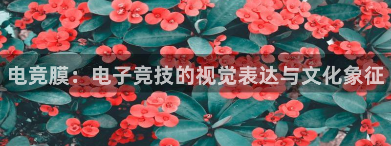 雷火电竞官网app下载：电竞膜：电子竞技的视觉表达与文化象征