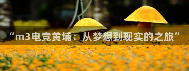 雷火电竞下载app：“m3电竞黄埔：从梦想到现实的之旅”
