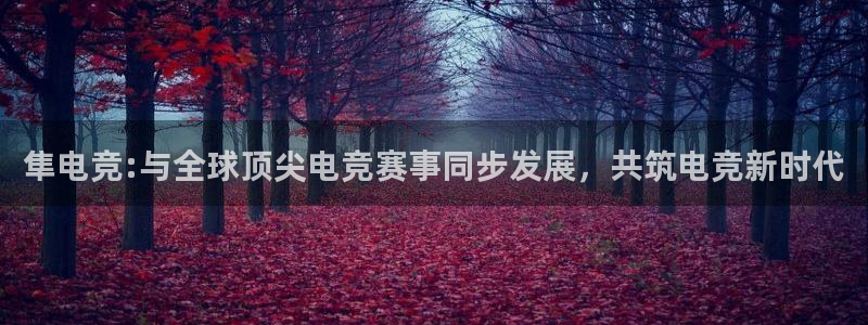 雷火电竞官网首页登录