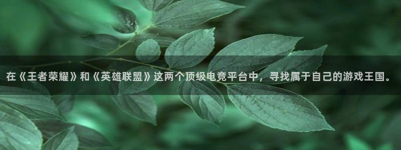 雷火电竞体育平台：在《王者荣耀》和《英雄联盟》这两个顶级电竞平台中，寻找属于自己的游戏王国。