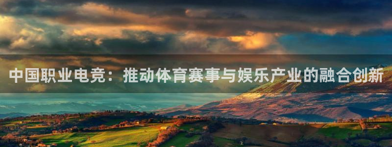 下载雷火电竞app：中国职业电竞：推动体育赛事与娱乐产业的融合创新