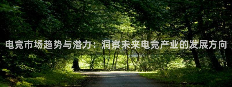 雷火电竞官网首页：电竞市场趋势与潜力：洞察未来电竞产业的发展方向