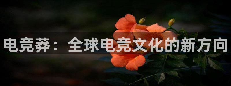雷火电竞合法吗：电竞莽：全球电竞文化的新方向