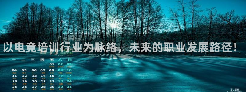 雷火电竞网：以电竞培训行业为脉络，未来的职业发展路径！