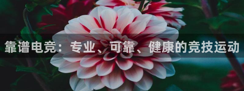 雷火电竞体育官网：靠谱电竞：专业、可靠、健康的竞技运动