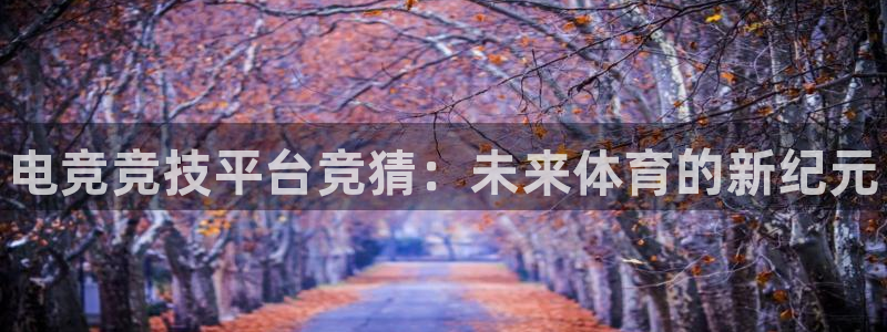 雷火电竞充值：电竞竞技平台竞猜：未来体育的新纪元