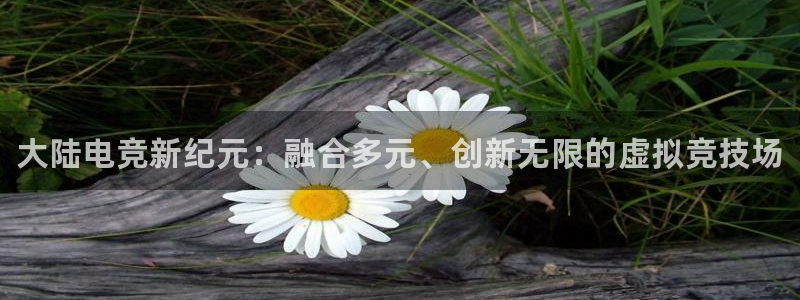 雷火电竞在线：大陆电竞新纪元：融合多元、创新无限的虚拟竞技场