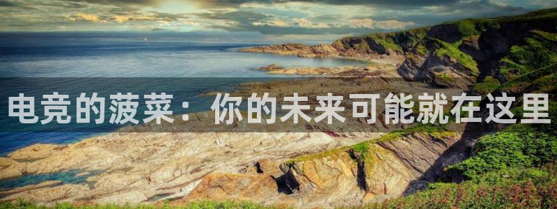 雷火电竞在线登录官网：电竞的菠菜：你的未来可能就在这里