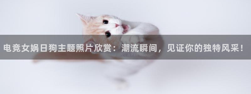 e8125雷火电竞：电竞女娲日狗主题照片欣赏：潮流瞬间，见证你的独特风采！