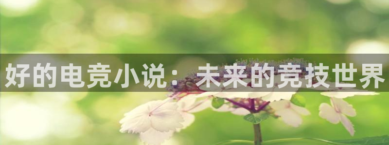 雷火电竞入口官网：好的电竞小说：未来的竞技世界