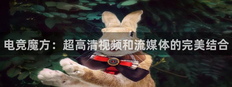 雷火电竞平台入口：电竞魔方：超高清视频和流媒体的完美结合