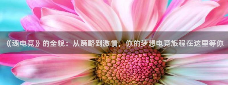 雷火电竞首页：《魂电竞》的全貌：从策略到激情，你的梦想电竞旅程在这里等你