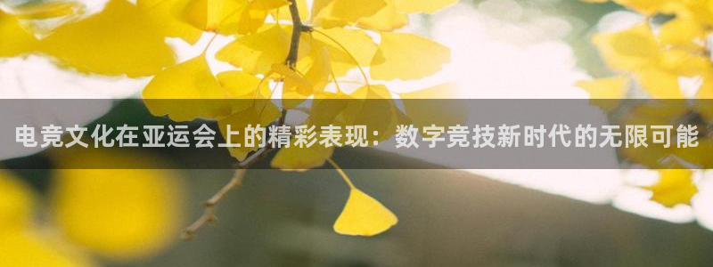 雷火电竞平台入口：电竞文化在亚运会上的精彩表现：数字竞技新时代的无限可能
