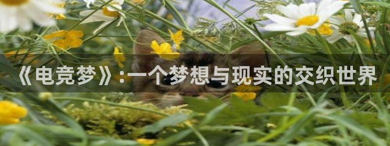 雷火电竞网站：《电竞梦》:一个梦想与现实的交织世界