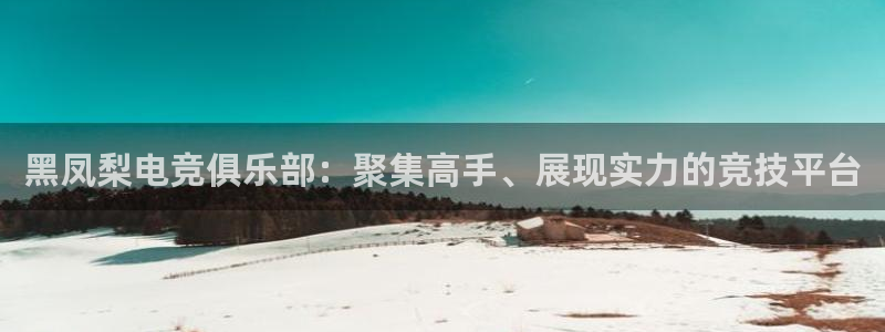 雷火电竞官网app下载：黑凤梨电竞俱乐部：聚集高手、展现实力的竞技平台