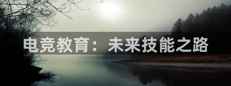 雷火电竞PC：电竞教育：未来技能之路
