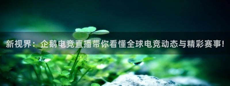 雷火电竞体育：新视界：企鹅电竞直播带你看懂全球电竞动态与精彩赛事!