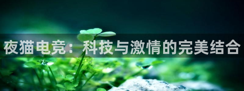 雷火电竞官网下载：夜猫电竞：科技与激情的完美结合