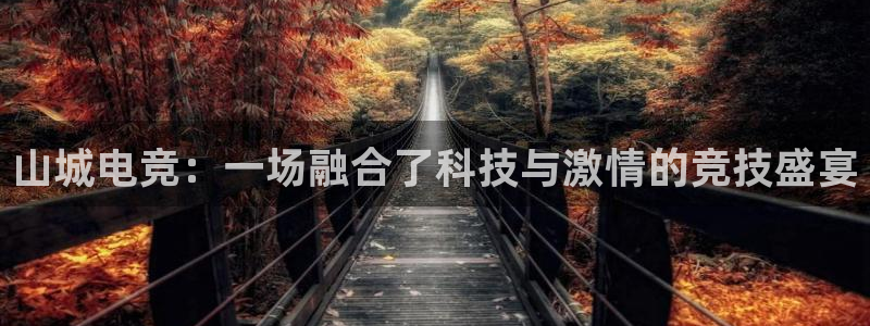 雷火电竞是干什么的