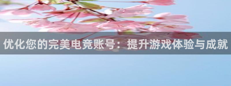 雷火电竞审核多长时间：优化您的完美电竞账号：提升游戏体验与成就