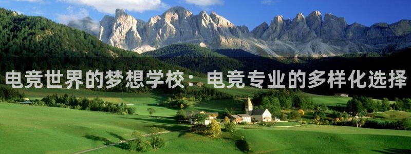雷火电竞官网下载：电竞世界的梦想学校：电竞专业的多样化选择