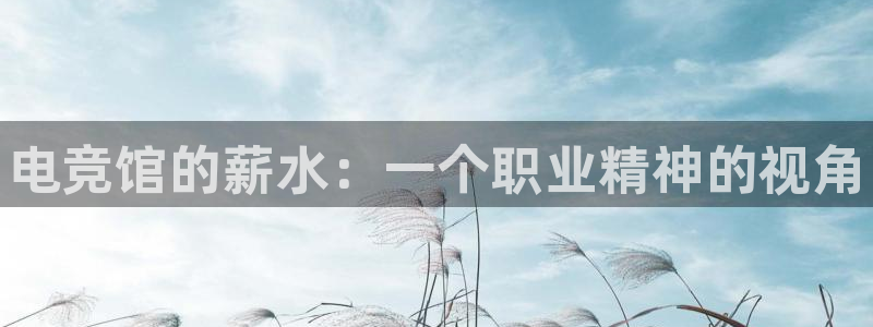 雷火电竞网页版登录入口：电竞馆的薪水：一个职业精神的视角