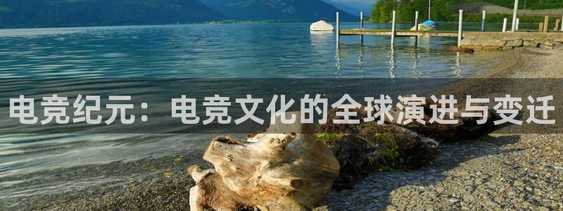 雷火电竞是干什么的：电竞纪元：电竞文化的全球演进与变迁