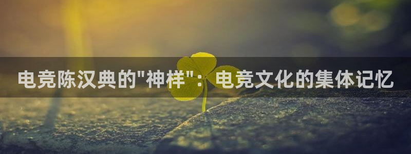 雷火电竞平台入口：电竞陈汉典的\